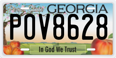 GA license plate POV8628