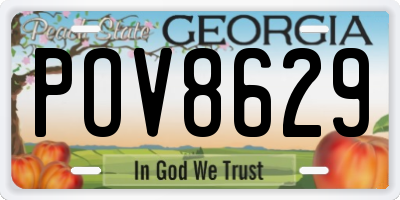 GA license plate POV8629
