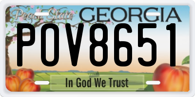 GA license plate POV8651