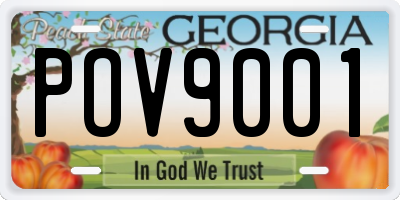 GA license plate POV9001