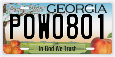 GA license plate POW0801