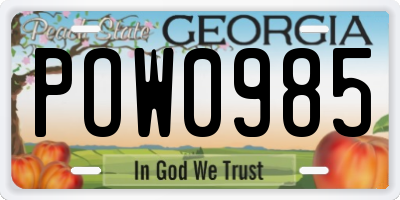GA license plate POW0985