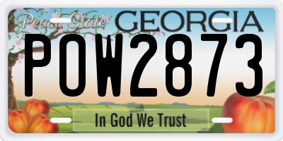 GA license plate POW2873
