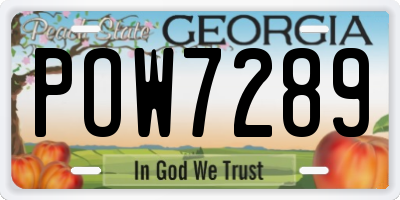 GA license plate POW7289