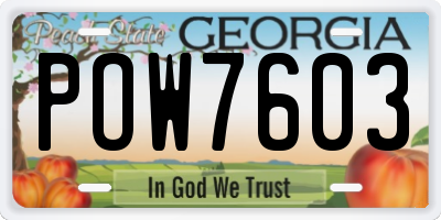 GA license plate POW7603