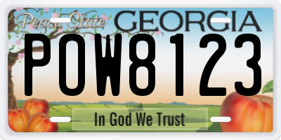 GA license plate POW8123