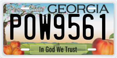 GA license plate POW9561