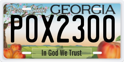 GA license plate POX2300