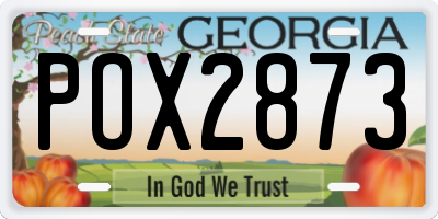 GA license plate POX2873
