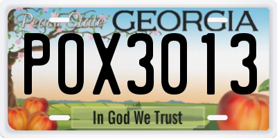 GA license plate POX3013