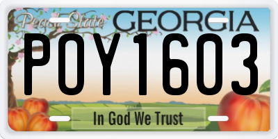 GA license plate POY1603