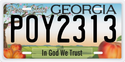 GA license plate POY2313