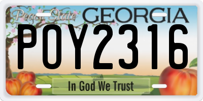 GA license plate POY2316