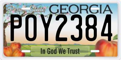 GA license plate POY2384