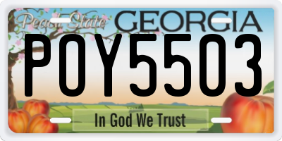 GA license plate POY5503