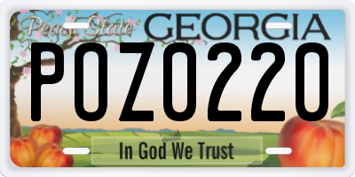 GA license plate POZ0220