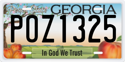 GA license plate POZ1325