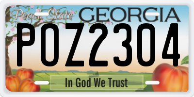 GA license plate POZ2304