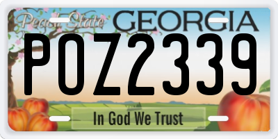 GA license plate POZ2339