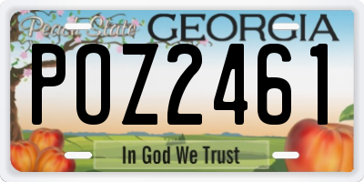 GA license plate POZ2461