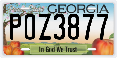 GA license plate POZ3877