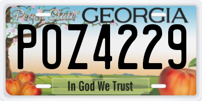 GA license plate POZ4229