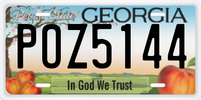 GA license plate POZ5144