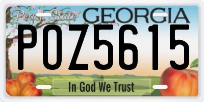 GA license plate POZ5615