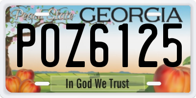 GA license plate POZ6125