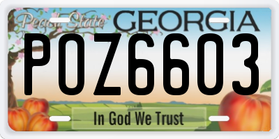 GA license plate POZ6603