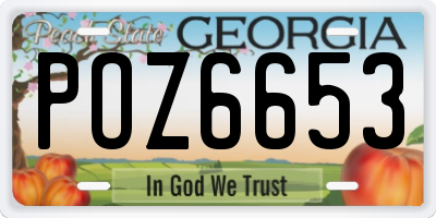GA license plate POZ6653