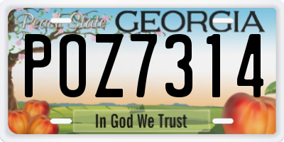 GA license plate POZ7314