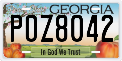GA license plate POZ8042