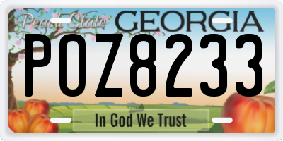 GA license plate POZ8233
