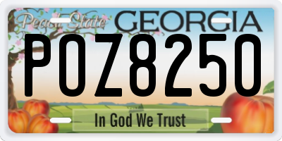 GA license plate POZ8250