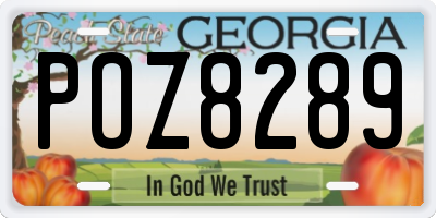 GA license plate POZ8289