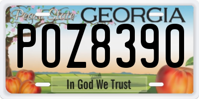GA license plate POZ8390