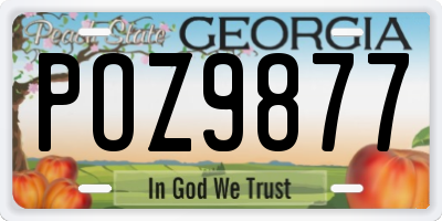 GA license plate POZ9877