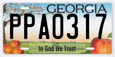 GA license plate PPA0317
