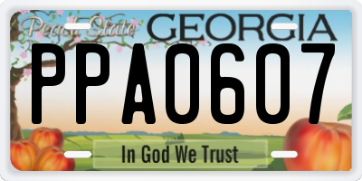 GA license plate PPA0607