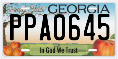 GA license plate PPA0645