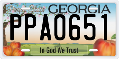 GA license plate PPA0651