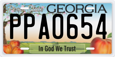 GA license plate PPA0654