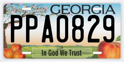 GA license plate PPA0829
