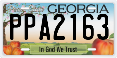 GA license plate PPA2163