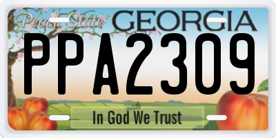 GA license plate PPA2309