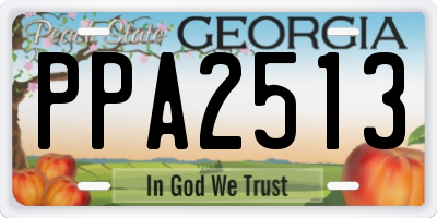 GA license plate PPA2513