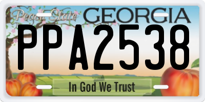 GA license plate PPA2538