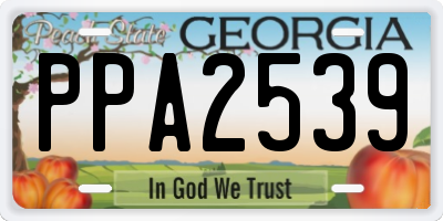 GA license plate PPA2539
