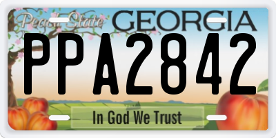GA license plate PPA2842